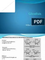 glicolisis.pptx