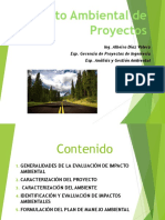 ImpactoAmbientalProyectos PDF