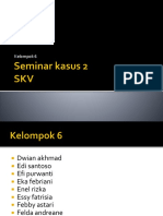 SKV Seminar 2