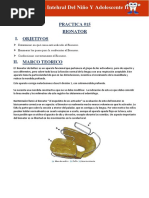 Activador de Andreasen en Ortodoncia | PDF | Naturaleza