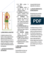 El Sistema Digestivo Triptico