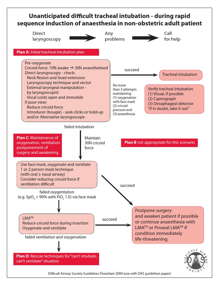 Unanticipated Difficult Tracheal Intubation Algorithm Update | PDF ...