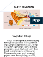 Indera Pendengaran