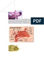 Ducha Nasal