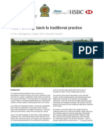 Rice farming-back to traditional practice.pdf