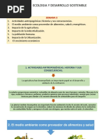 ACTIVIDADES ANTROPOGENICAS