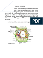 Pengertian Organel Sel