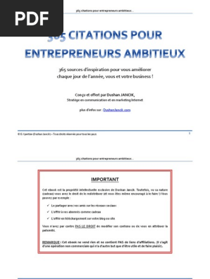 365 Citations Pour Entrepreneurs Ambitieux Dushan Jancik Pdf Commercialisation L Internet