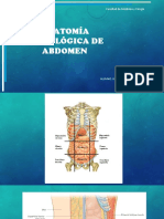 Anatomia Radiologica de Abdomen Exposicion Completa