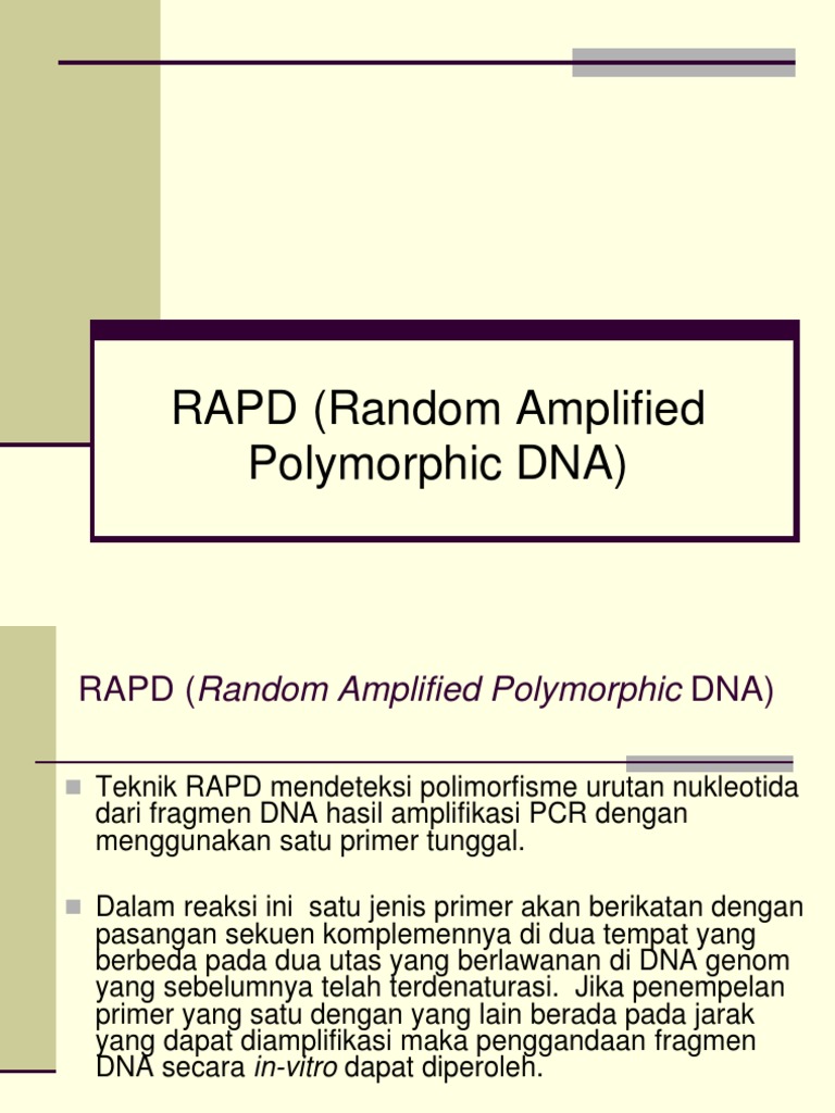 RAPD Technique: Principles and Applications | PDF | Polymerase Chain ...