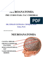 Neuroanatomia Para Interpretrar Tac