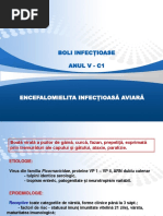Aparat Digestiv  PDF