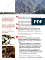 Minera La Granja PDF