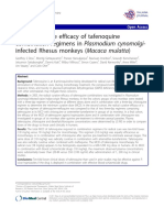 Radical Curative Efficacy of Tafenoquine Combination Regimens in Plasmodium Cynomolgiinfected Rhesus Monkeys (Macaca Mulatta)