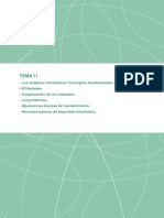 TEMA 11.pdf