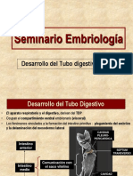 Desarrollo Del Tubo Digestivo