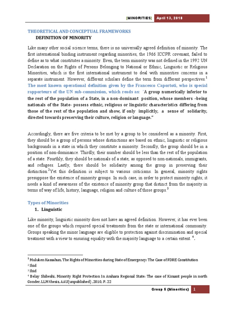 Understanding Minority Rights | PDF | Minority Group | European ...