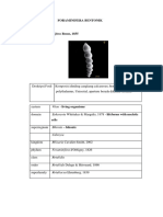 Foraminifera Bentonik Fix