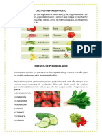 Cultivos cortos vs largos