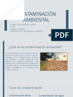 Contaminación Ambiental