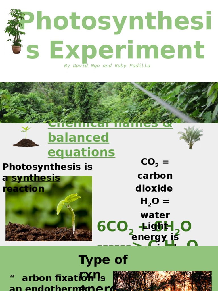 Science Project 1 | PDF