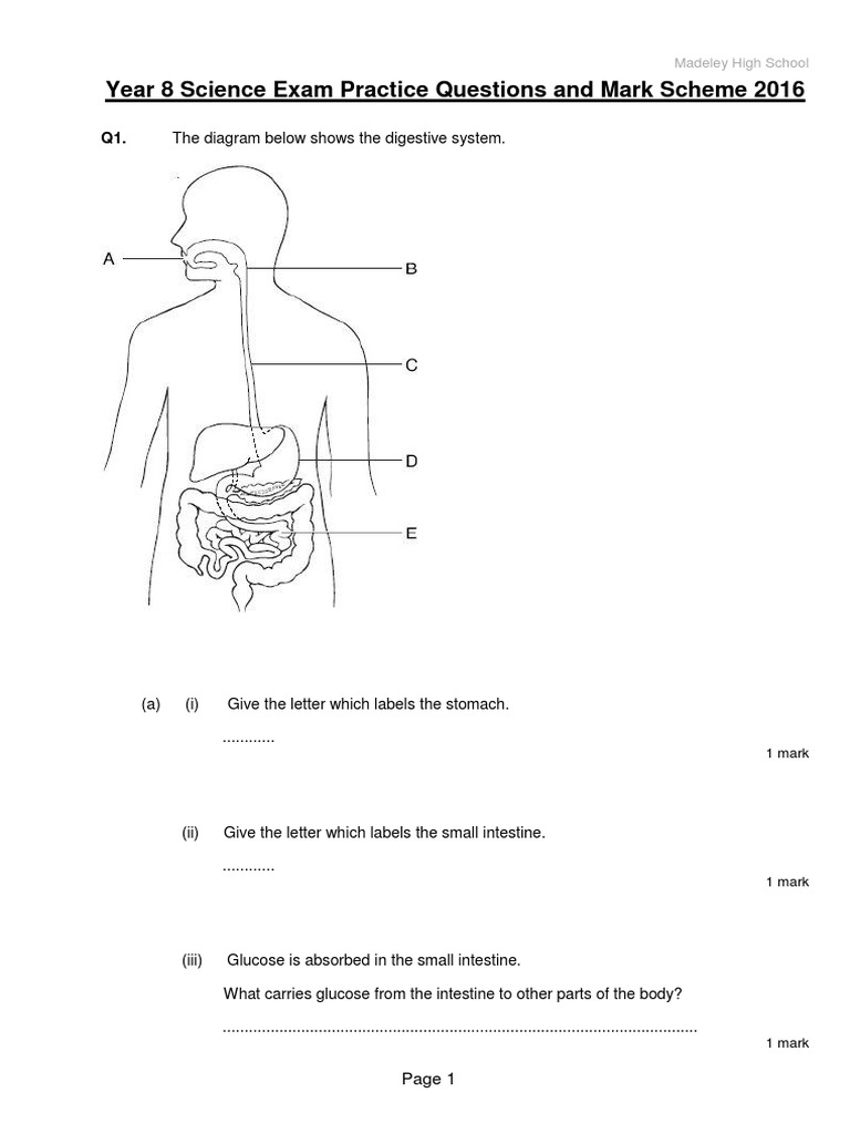 Year 8 Science Exam Practice Questions 2016 | Chemical Substances
