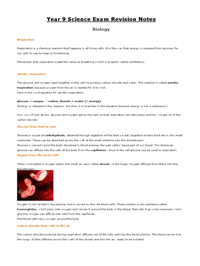 Year 9 Science Exam Revision Notes - Sets 1-5.pdf | Lung | Respiratory ...