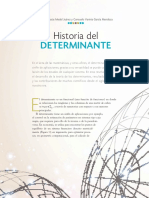 Historia Del Determinante