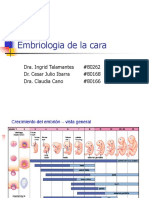 Embriologia de La Cara1042