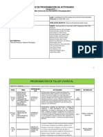 Matriz de Actividades Plenaria