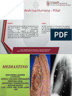 Clase Mediastino DR Jaac PDF