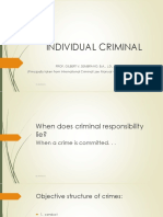 Individual Criminal Responsibility