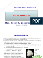 Blgo. Cesar D. Quesquen Lopez: Sales Minerales