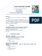 CV DianaSanchezQ