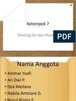 Kelompok 7 Dinding Sel