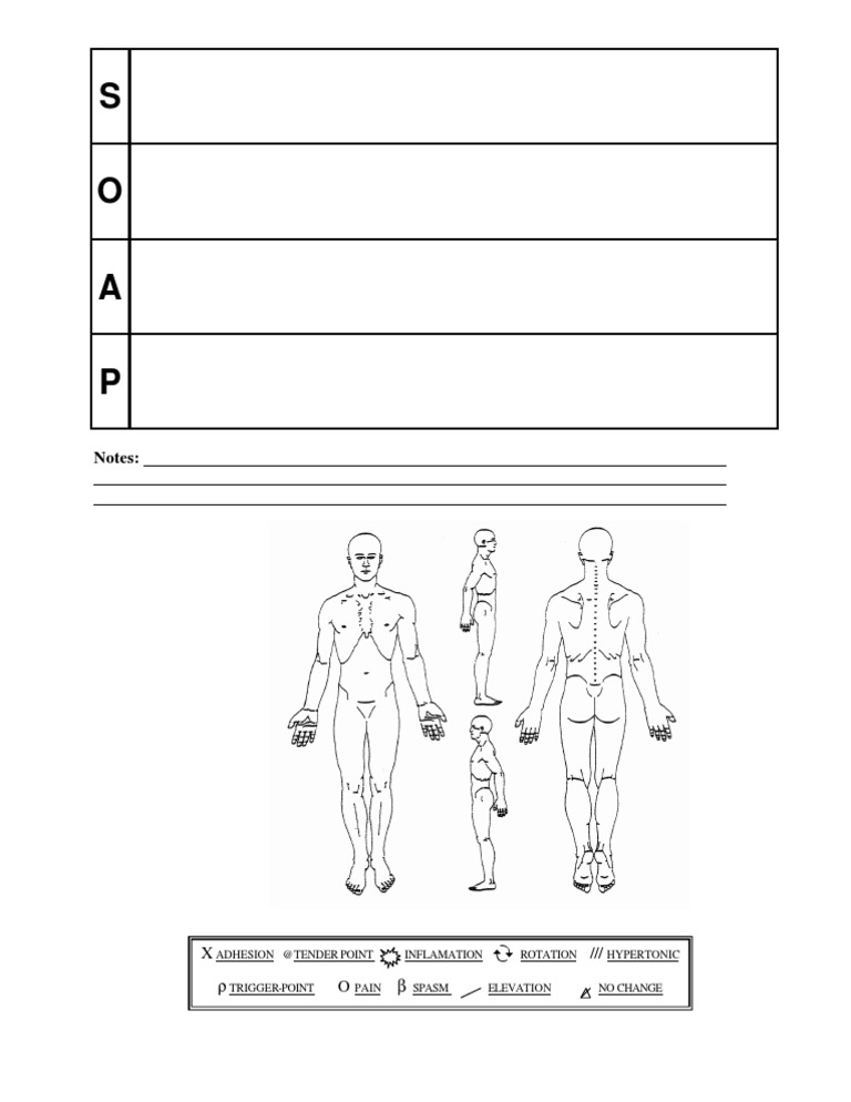 Soap Notes | PDF
