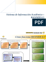 Sistema de Información Académico - Banner 8.5