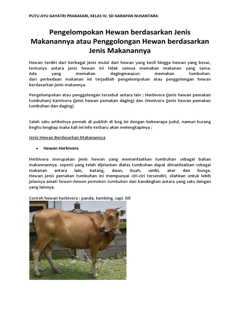 8100 Gambar Hewan Dan Makannya HD Terbaik