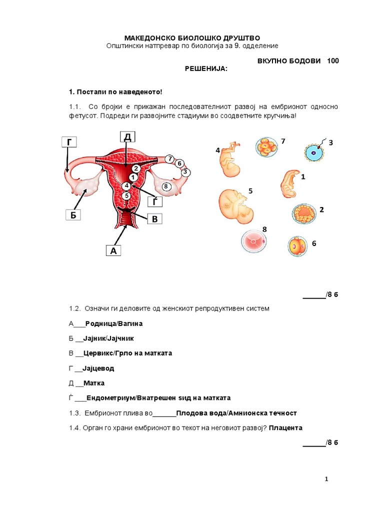 9-то одделение, одговори на прашањата PDF | PDF