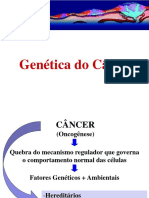 Genetica Do Cancer