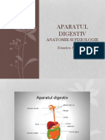  Aparatul Digestiv ,Anatomia Si Fiziologia