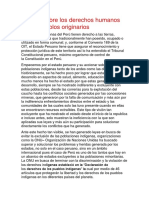 Ensayo Sobre Los Derechos Humanos de Los Pueblos Originarios