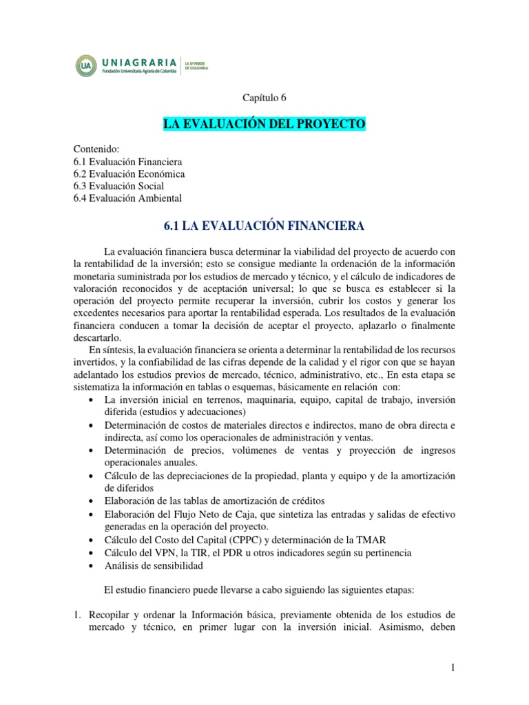 Cap 6. La Evaluación Del Proyecto | PDF | Presupuesto | Beneficio ...