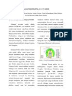 Endapan Porfiri (Papua) PDF