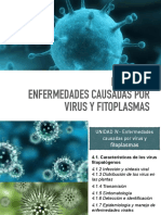IV Unidad. - Virus y Fitoasmas