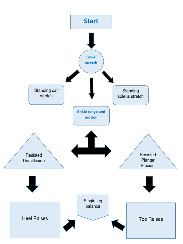 Exercise Flow Chart 1 | PDF