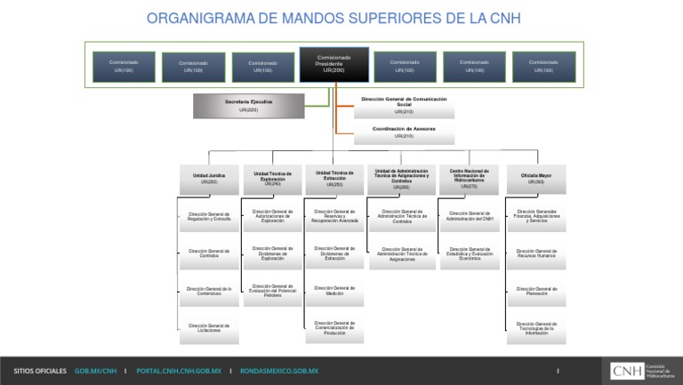 Organigrama CNH: Mandos Superiores | PDF | Economies | Business
