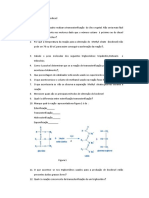 Perguntas Sobre Biodiesel