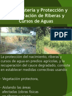 Proteccion riberas2012.pptx