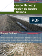 Recuperacion de suelos salinos.pptx